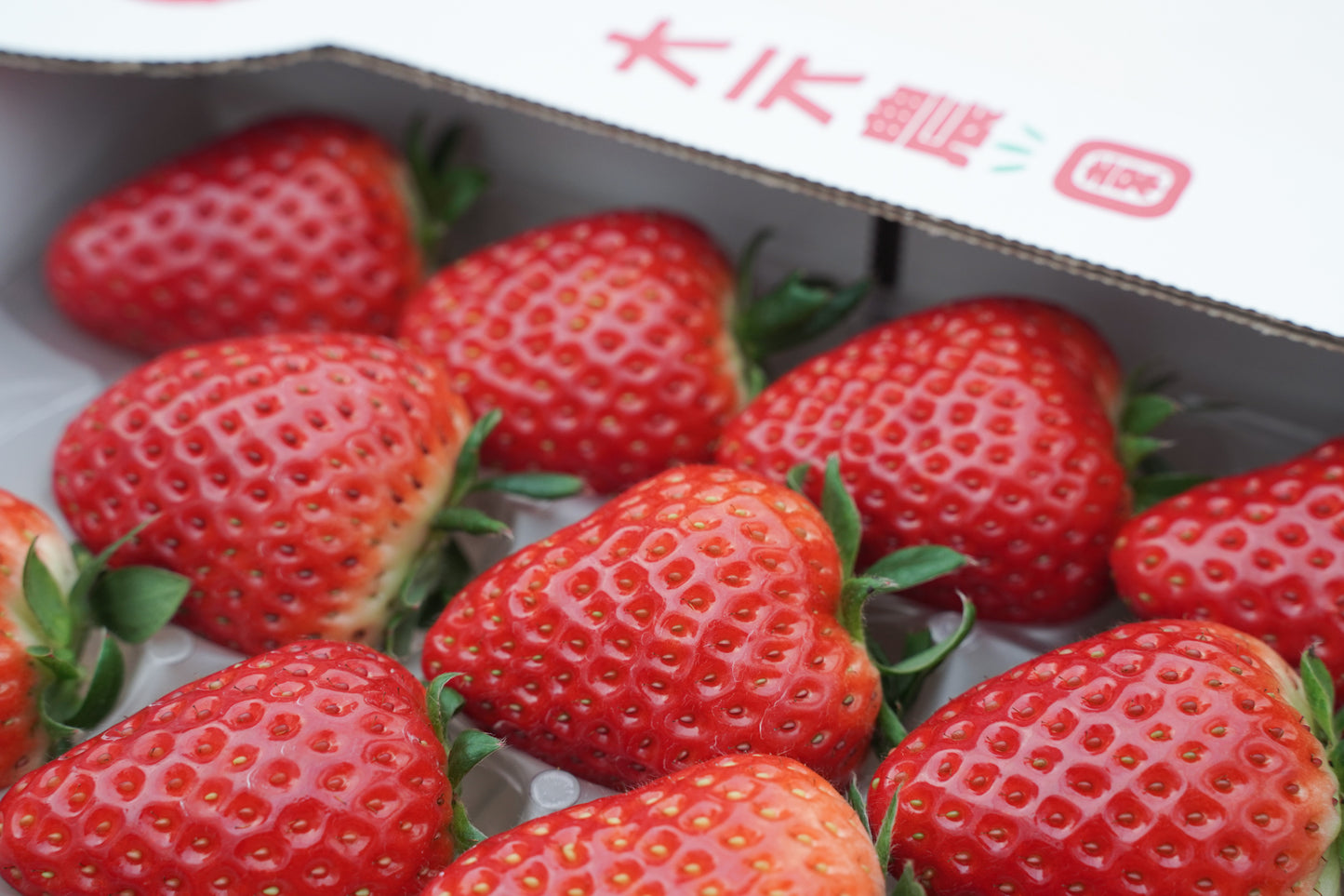 古都華2L(送料込・税込)