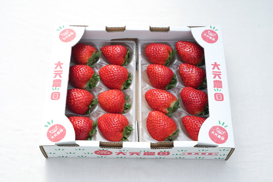 古都華4L(送料込・税込)