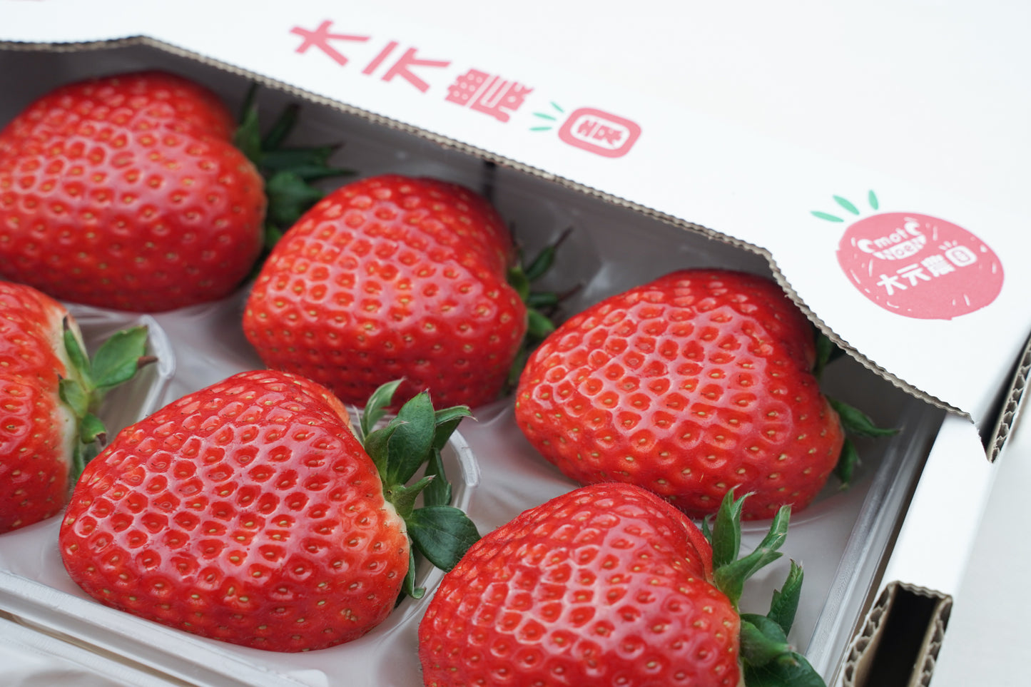 古都華5L(送料込・税込)