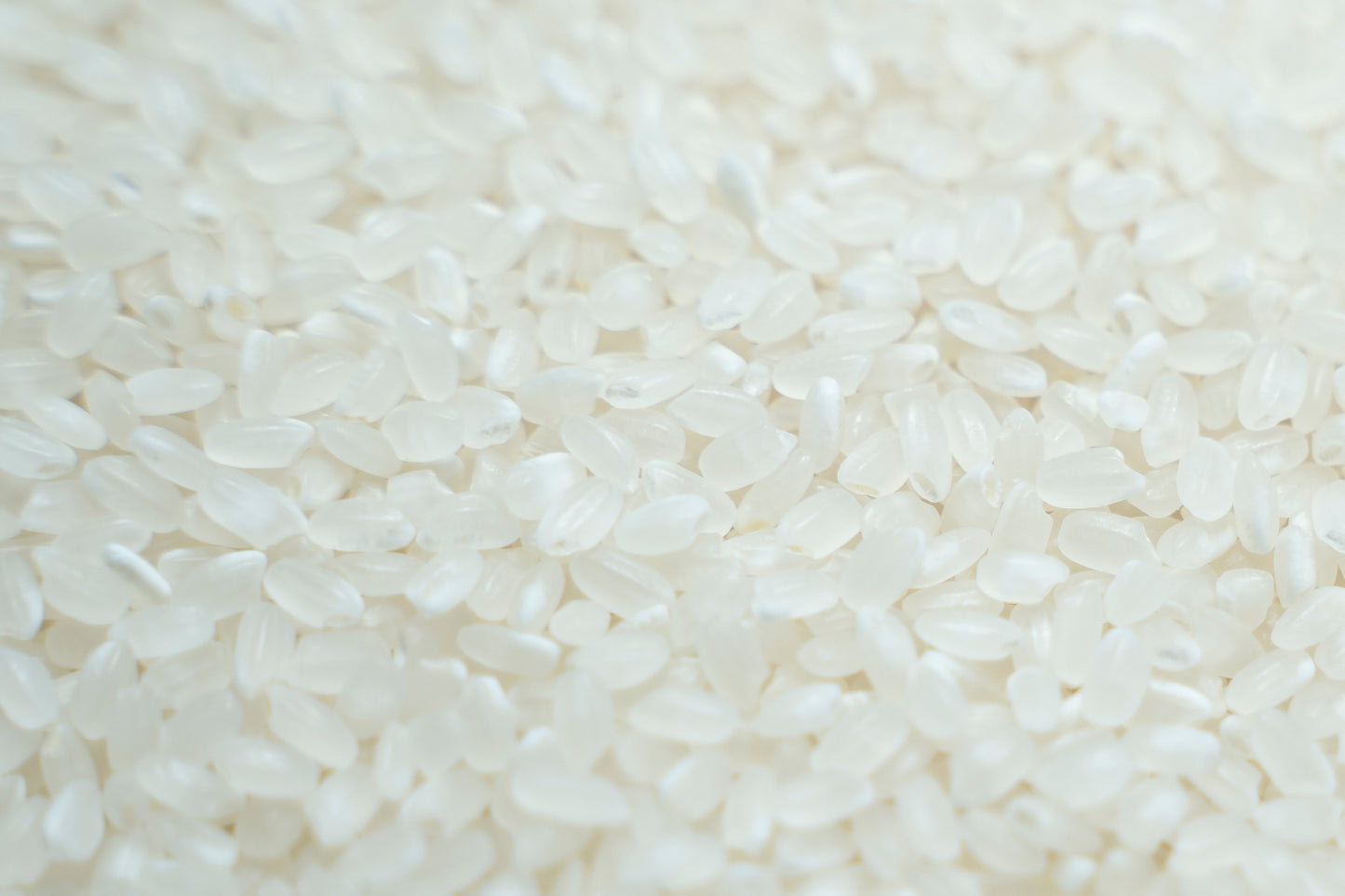 2025年度米5kg(送料込・税込)